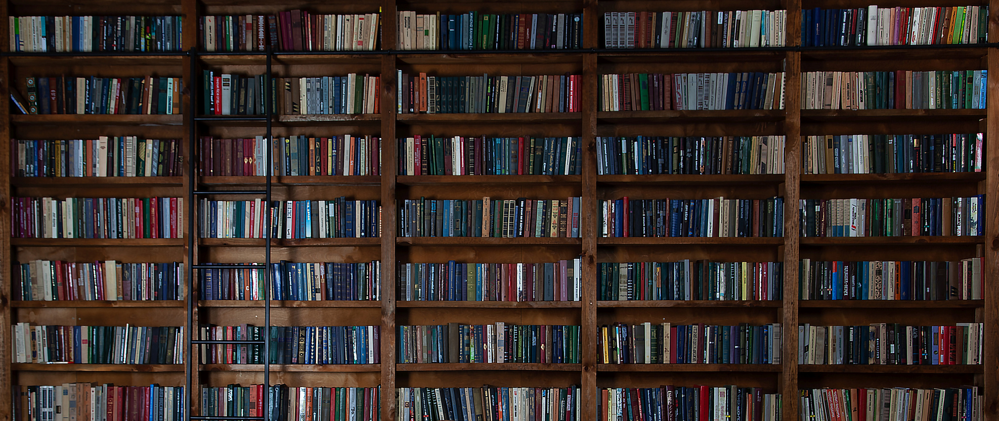 Bookshelves in the Library. Large Bookcase with Lots of Books. Reading Books. Library or Shop with Bookcases. Cozy Book Background. Bookish, Bookstore, Bookshop.